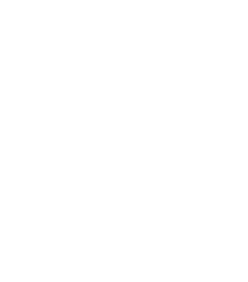 logo symbol Defendo